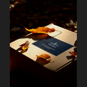 Подарунковий бокс з Карпат «Величезний презент з Карпат»